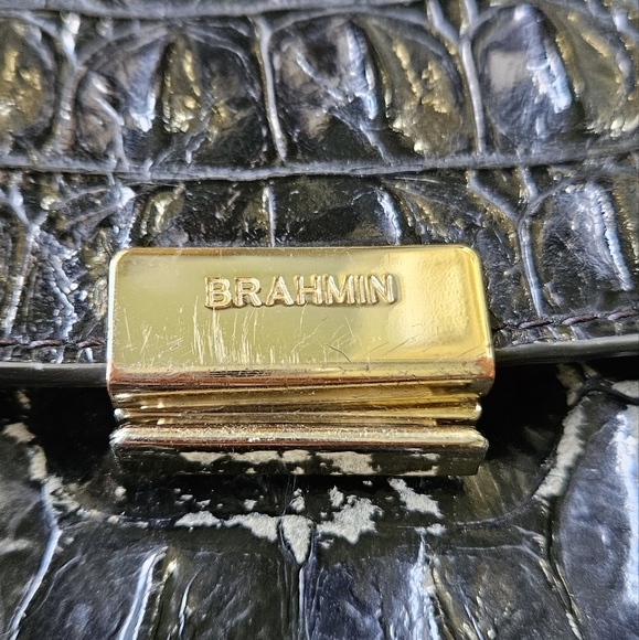 Brahmin - Picture 3 of 7